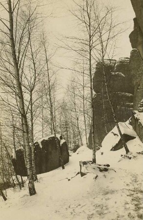 Elbsandsteingebirge. Nordwestseite des Vorderen Raubschlosses (Frienstein)