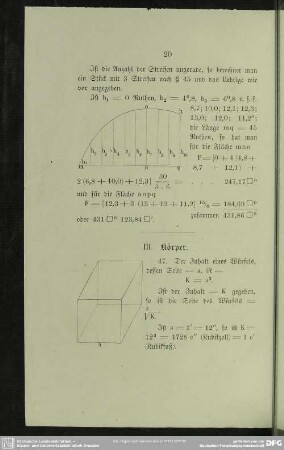 III. Körper