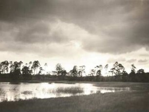 Moritzburger Teichgebiet. Uferlandschaft