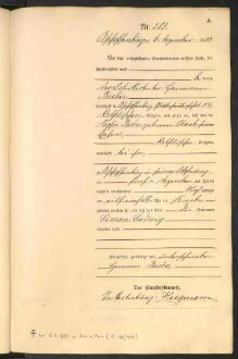 Standesamtsbuch der Stadt Aschaffenburg: Geburten 365/1900 - 184/1901