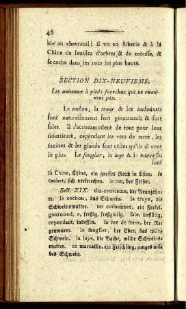 Section Dix-Neuvieme.