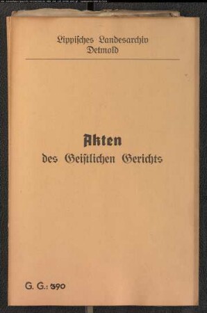 Amalie Ilsabein Böcke aus Erder gegen den Schiffer Simon Arend Steffen in Erder, wegen einer Eheklage