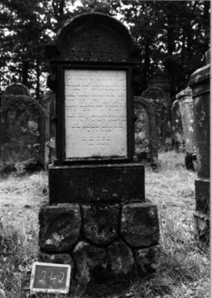 Grabstein 242 [Nir S. 163 Nr. 15.20]