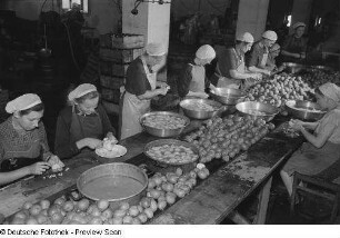 Frauen schälen Birnen im VEB Leipziger Feinkostfabrik
