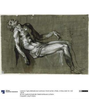 Aktstudie zum Leichnam Christi auf der »Pietà« in Wien
