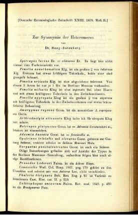 Zur Synonymie der Heteromeren