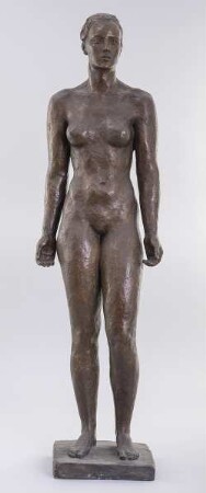 Entwurf Amazone