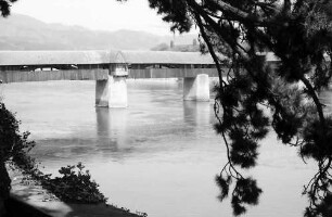 Bad Säckingen: Alte Rheinbrücke vom Schlosspark aus, Vordergrund Baumäste
