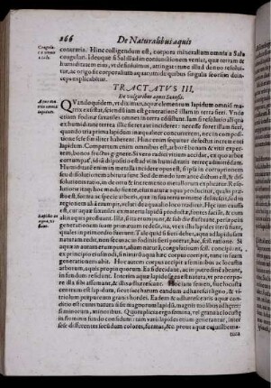 Tractatus III. De vulgaribus aquis Saxosis.