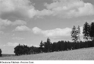 Landschaft
