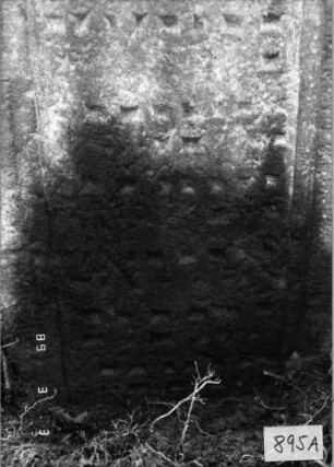 Grabstein 895 (Index: 99753252) Material: Sandstein Zustand: verwittert mit Textverlust Maße HxBxT: 105x43x11 cm Beschreibung: Stele, geschwungener Abschluß, Schriftfeld eingetieft Symbolik: Muschel: Grabstein 895A