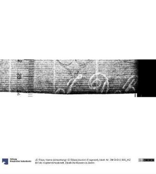 Name (einkonturig): ID R[öpe] (kursiv) (Fragment)