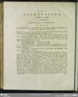 Geum Urbanum. Tabula XXVIII.