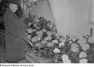 Renate Rössing vor Blumen in einem Gewächshaus