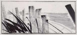 Am Meer