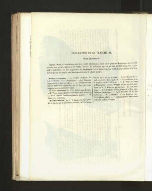 Pl. 41.