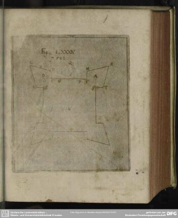 Fig. LXXXIV. p. 521