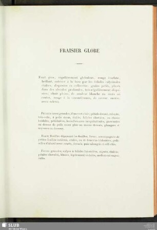 Fraisier Globe