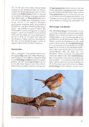 Abb. 6: Häufiger Jahresvogel: das Rotkehlchen.