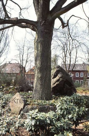 Friedenseiche: vorne Gedenkstein 1871: hinten Ehrenmal