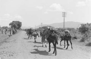 Italienische Kolonialsoldaten : Italienische Kolonialsoldaten auf einer Landstraße