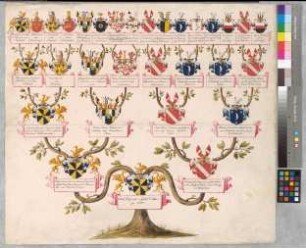 Proband: Seyssel d'Aix, Karl Graf von; Vater: Seyssel d'Aix, Maximilian Claudius Maria Graf von; Mutter: Reitzenstein, Friederika Augusta Albertina von: Mark, Grafschaft, Ritterschaft