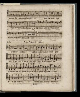 VII. Ach Herr wie sind meiner feinde so (a 2. Altus & Tenor)