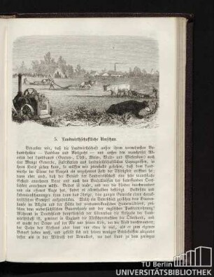 5. Landwirtschaftliche Umschau.