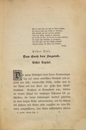 Werner Eltze : Roman von E. Juncker, 1