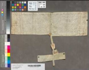 Testamentum vicarii Bernardi Bueren.