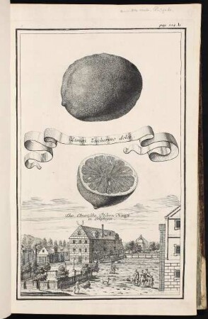 p. 132b [handschriftlich ergänzt: aus der ersten Ausgabe] Das Ebnerische Herrn-Hauß in Erlastegen. - Ehemaliger Herrensitz Voit- oder Ebnerschloss, Nürnberg-Erlenstegen