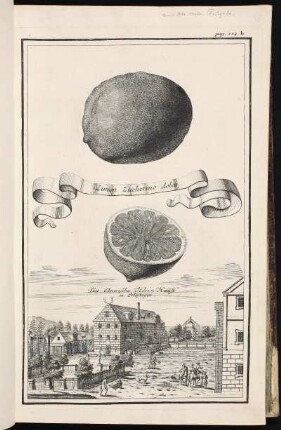 p. 132b [handschriftlich ergänzt: aus der ersten Ausgabe] Das Ebnerische Herrn-Hauß in Erlastegen. - Ehemaliger Herrensitz Voit- oder Ebnerschloss, Nürnberg-Erlenstegen