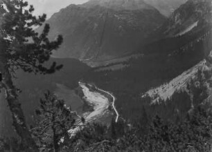 Talblick : Blick durch die Kiefern auf das Tal mit dem Fluss Maira. Im Hintergrund Berge.