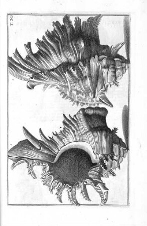 Tab. 38
