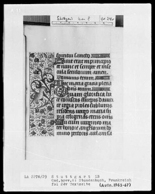 Lateinisch-französisches Stundenbuch — Bordüre mit Vogel, Folio 24 verso