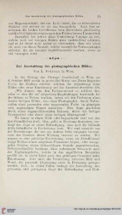 Zur Ausstattung des photographischen Bildes