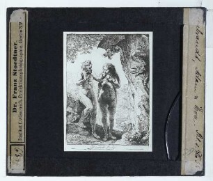 Rembrandt, Adam und Eva (Druck B028) (Expl. Rotterdam BvB DN 1951/272 (PK))