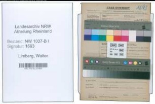 Entnazifizierung Walter Limberg , geb. 20.12.1906 (Abt.Leiter)