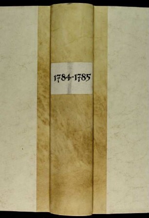 Ratsprotokolle, 1784 Juli 26. - 1785 Juli 24.