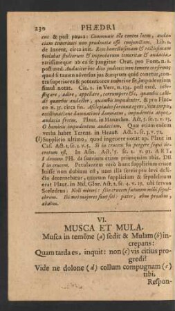 VI. Musca Et Mula.