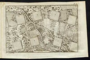 Pl. 8.
