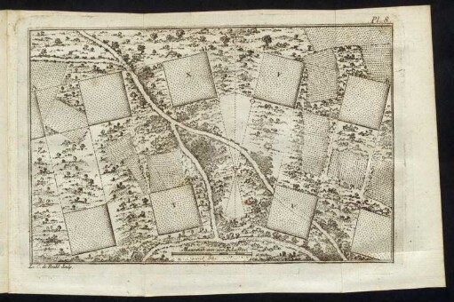 Pl. 8.