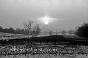 Travewiesen: hinten Zäune und Bäume: im Hintergrund Mitte untergehende Sonne: Winter