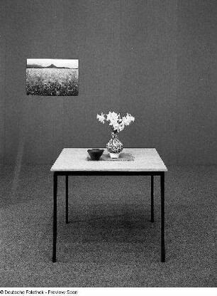 Tisch