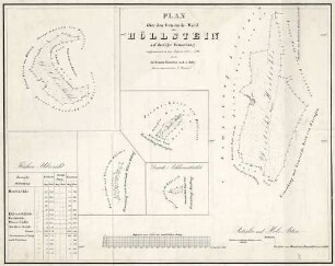 Plan über den Gemeinde-Wald von Höllstein auf dortiger Gemarkung