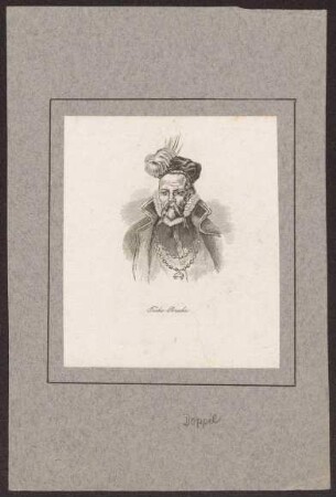 Brahe, Tycho