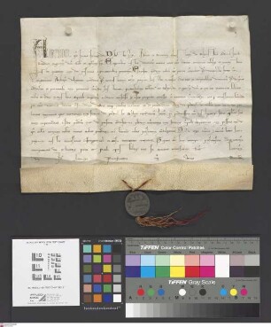 Seligenstadt: Alexander papa IV. confirmat incorporationem ecclesie parochialis in Selgenstadt per Gerhardum archiepiscopum monasterio in selgenst...