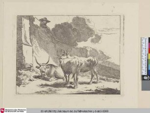 [Der Hirtenknabe auf der Mauer sitzend; Young herd sitting on a wall]