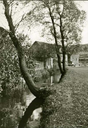 Wiesenbach