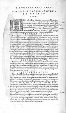 Historia Septuagesima Quinta. De Triseo